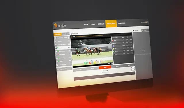 How to Play Virtual Horses and Greyhounds