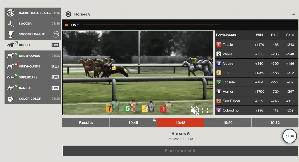 The ins and outs of virtual horses betting