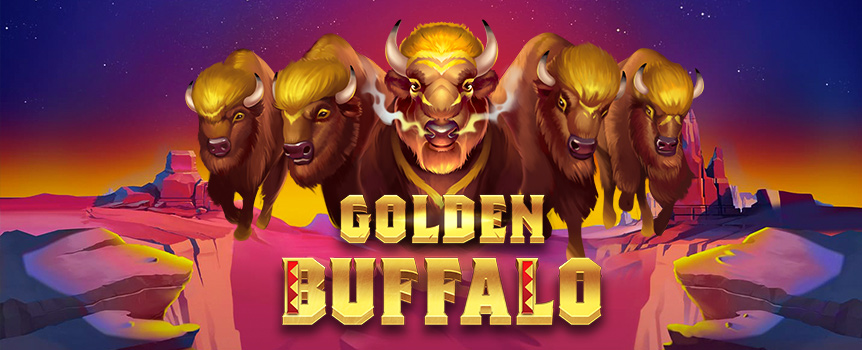Play pokies online: Golden Buffalo